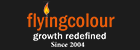 FLYING COLOUR BUSINESS SETUP SERVICES L.L.C logo